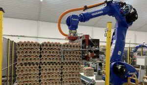 Apilado Paletizado de cartones de huevos 300x174 - Automatización y robótica industrial | Solución Apilado y Paletizado de cartones de huevos
