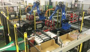 robotica planta huevos 300x174 - Automatización y robótica industrial para el sector avícola | Siempre un paso por delante
